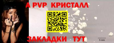 крисы Кулебаки