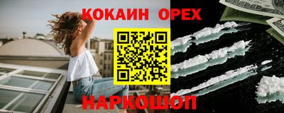 крисы Кулебаки