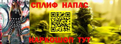 крисы Кулебаки