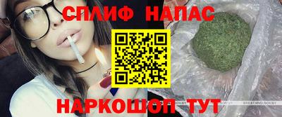 крисы Кулебаки