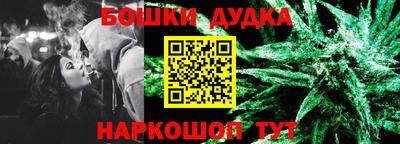 крисы Кулебаки